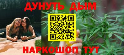 прущие грибы Кандалакша