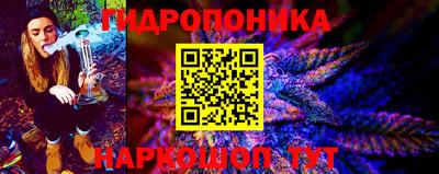 apvp Канаш