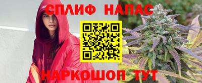 не бодяженный Камышлов
