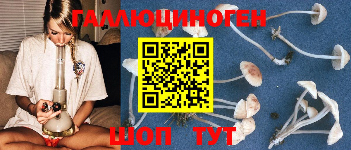 Галлюциногенные грибы Cubensis Каспийск